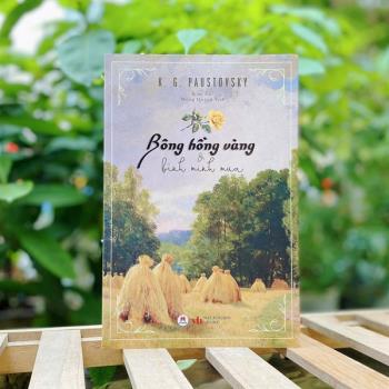 Bông hồng vàng và Bình minh mưa