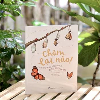 Chậm lại nào! Ngắm nhìn những khoảnh khắc thiên nhiên kì diệu