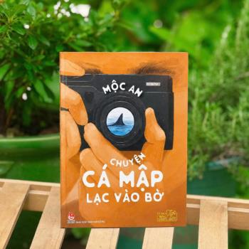 Chuyện cá mập lạc vào bờ