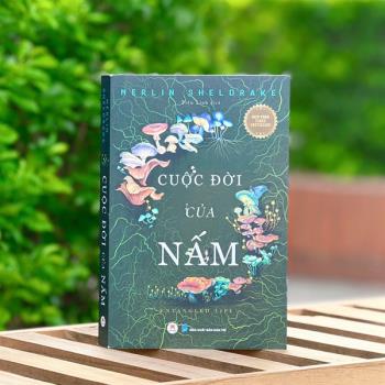 Cuộc đời của Nấm (Huy Hoàng)