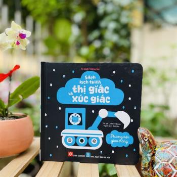 Sách kích thị giác và xúc giác - Phương tiện giao thông (Đinh Tị)