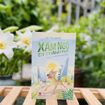 Xám Ngố đi thành phố (Kim Đồng)